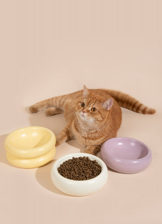 Donut Ceramic Pet Bowl