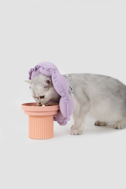FloraCone - Elizabethan collar