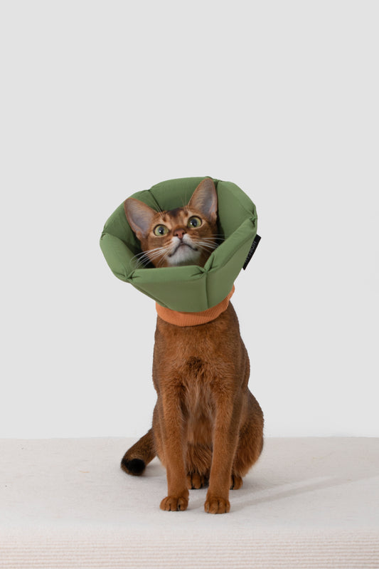 Cuddle Cone