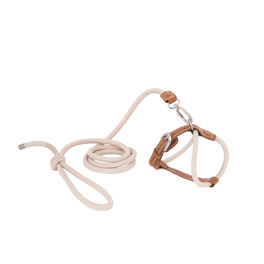 Xplore Cat Harness & Leash Set