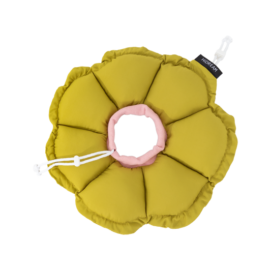 FloraCone - Elizabethan collar