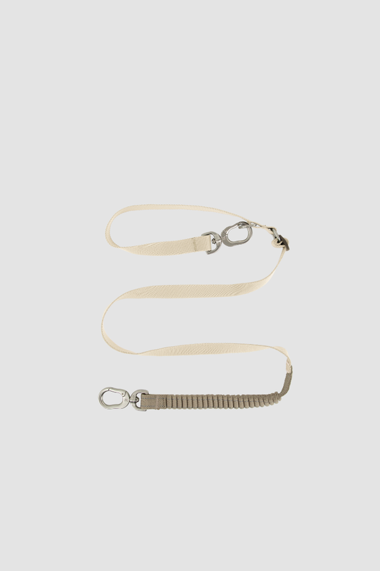 PawBounce Leash