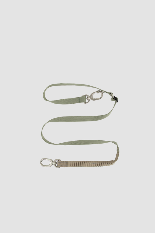 PawBounce Leash