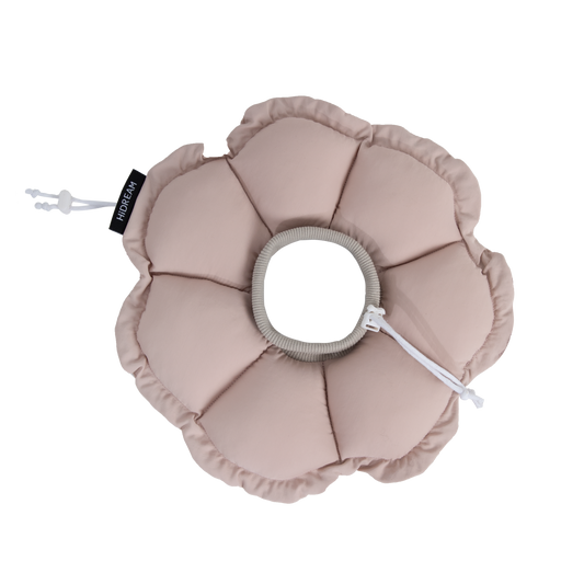 FloraCone - Elizabethan collar