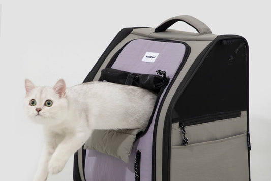 CastleFold Ultra-Light Carrier Backpack