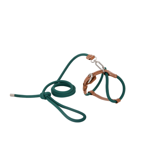 Xplore Cat Harness & Leash Set