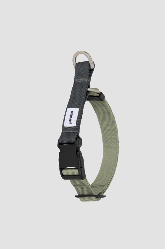 SteadyPace Control Collar