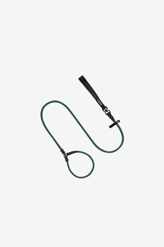 SteadyStride Leather Training Lead