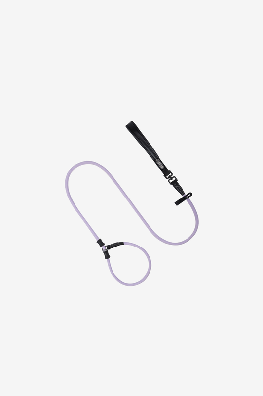 SteadyStride Leather Training Lead