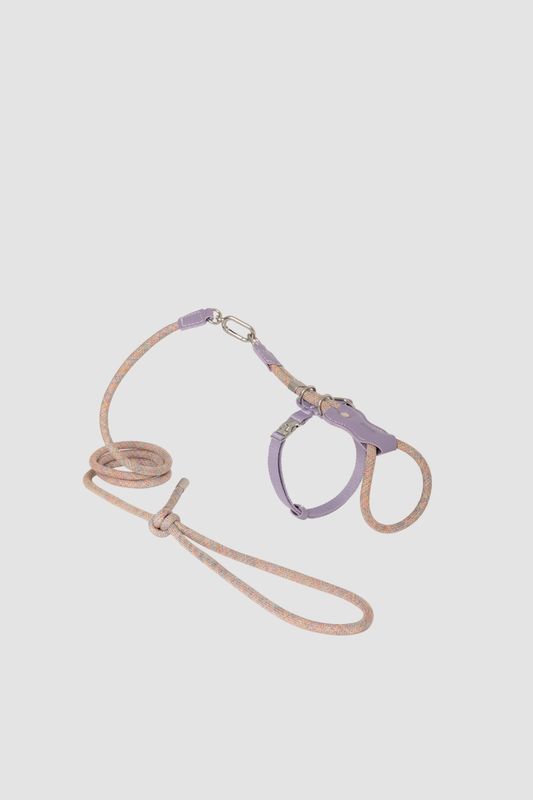 Leather Round Rope Cat Harness Set