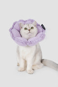 Load image into Gallery viewer, FloraCone - Elizabethan collar
