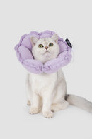 FloraCone - Elizabethan collar