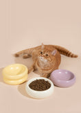 Load image into Gallery viewer, Donut Ceramic Pet Bowl
