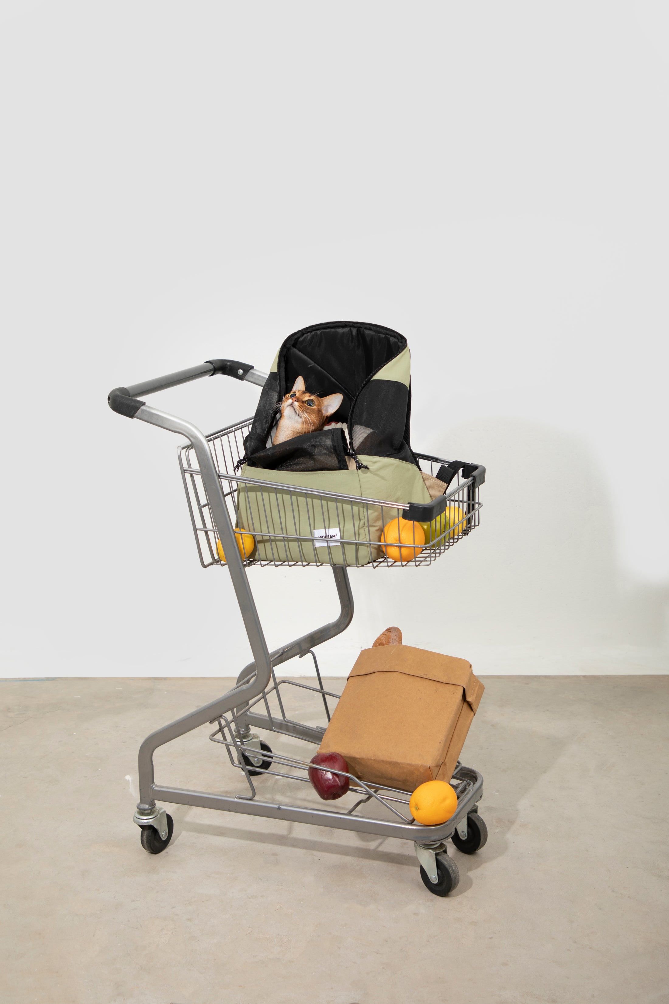 ClearNest Capsule Cat Carrier
