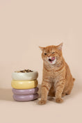 Load image into Gallery viewer, Donut Ceramic Pet Bowl
