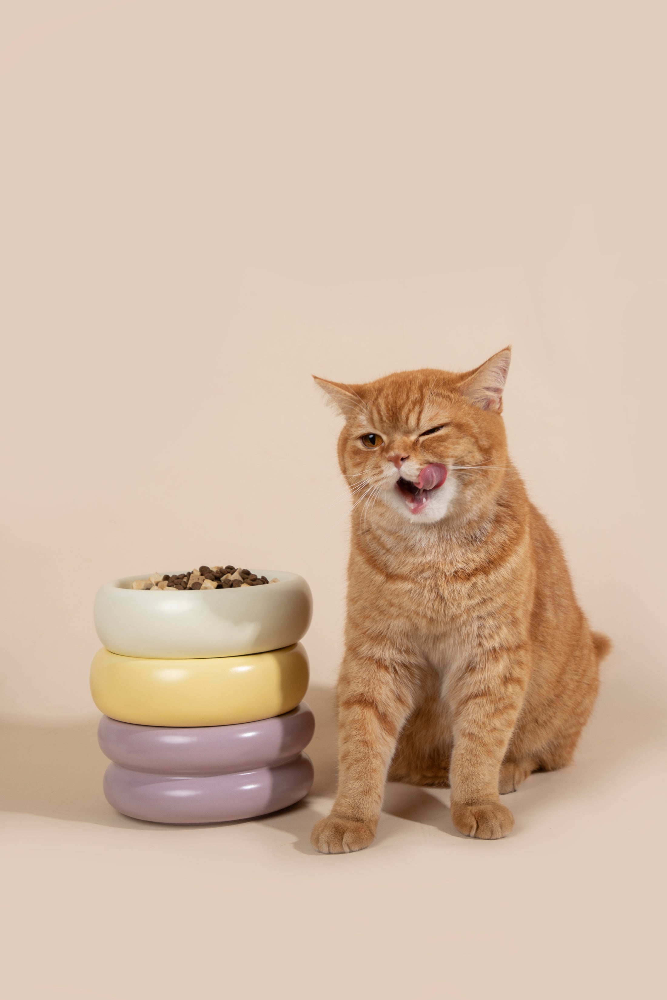 Donut Ceramic Pet Bowl