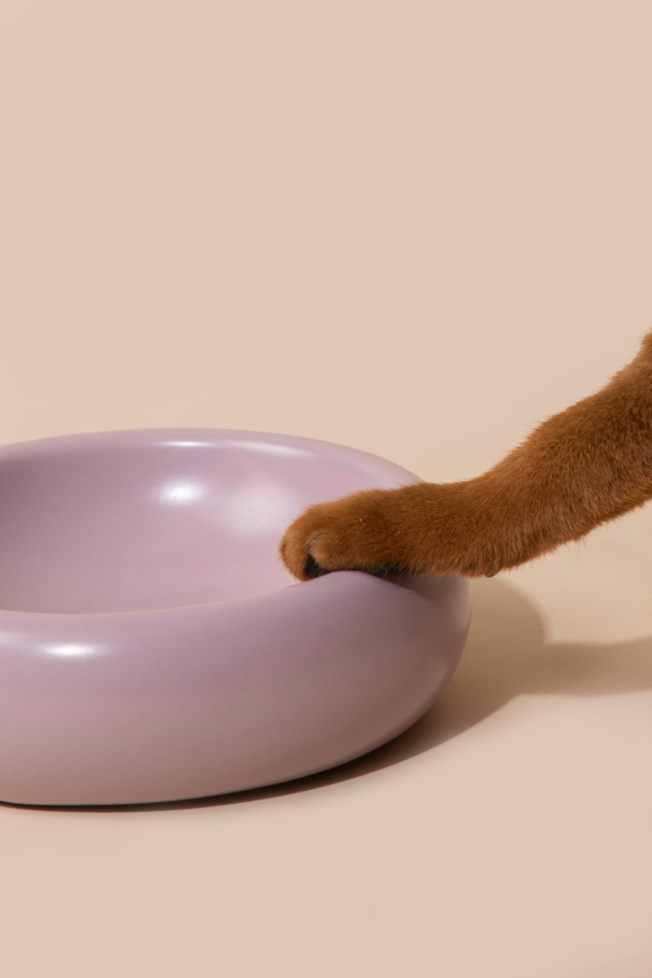 Donut Ceramic Pet Bowl
