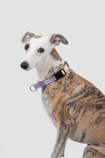 Load image into Gallery viewer, SteadyPace Control Collar

