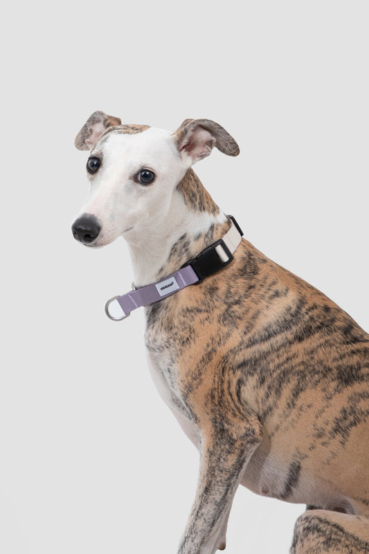 SteadyPace Control Collar