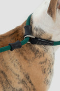 Load image into Gallery viewer, SteadyStride Leather Training Lead
