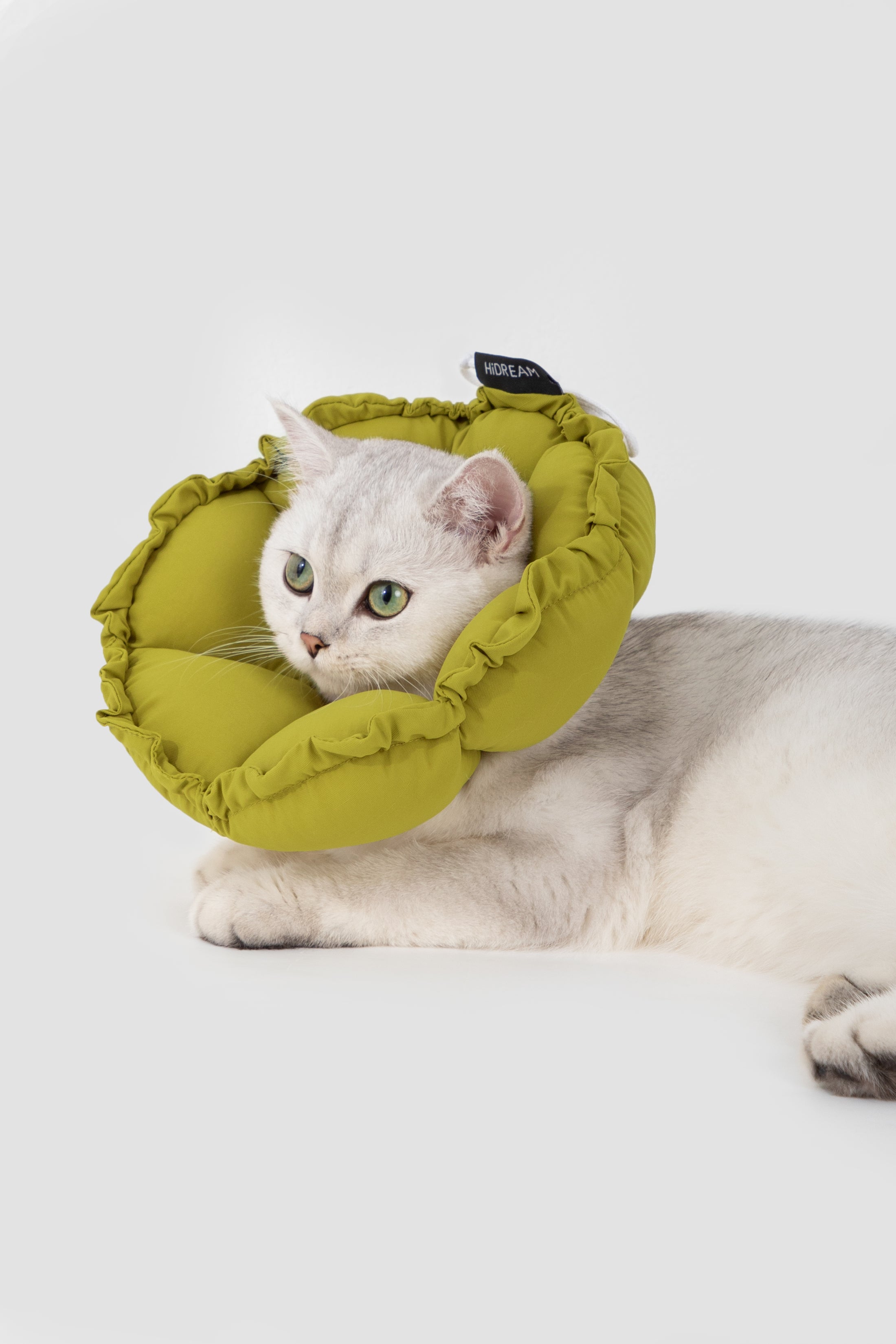 FloraCone - Elizabethan collar