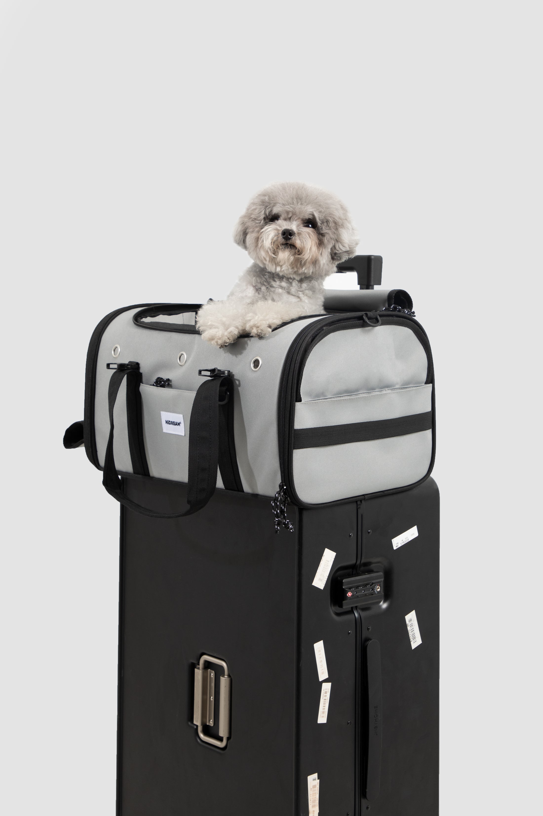 AirPaw Cabin Carrier