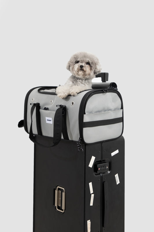 AirPaw Cabin Carrier