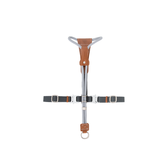 Leather Round Rope Dog Harness Set