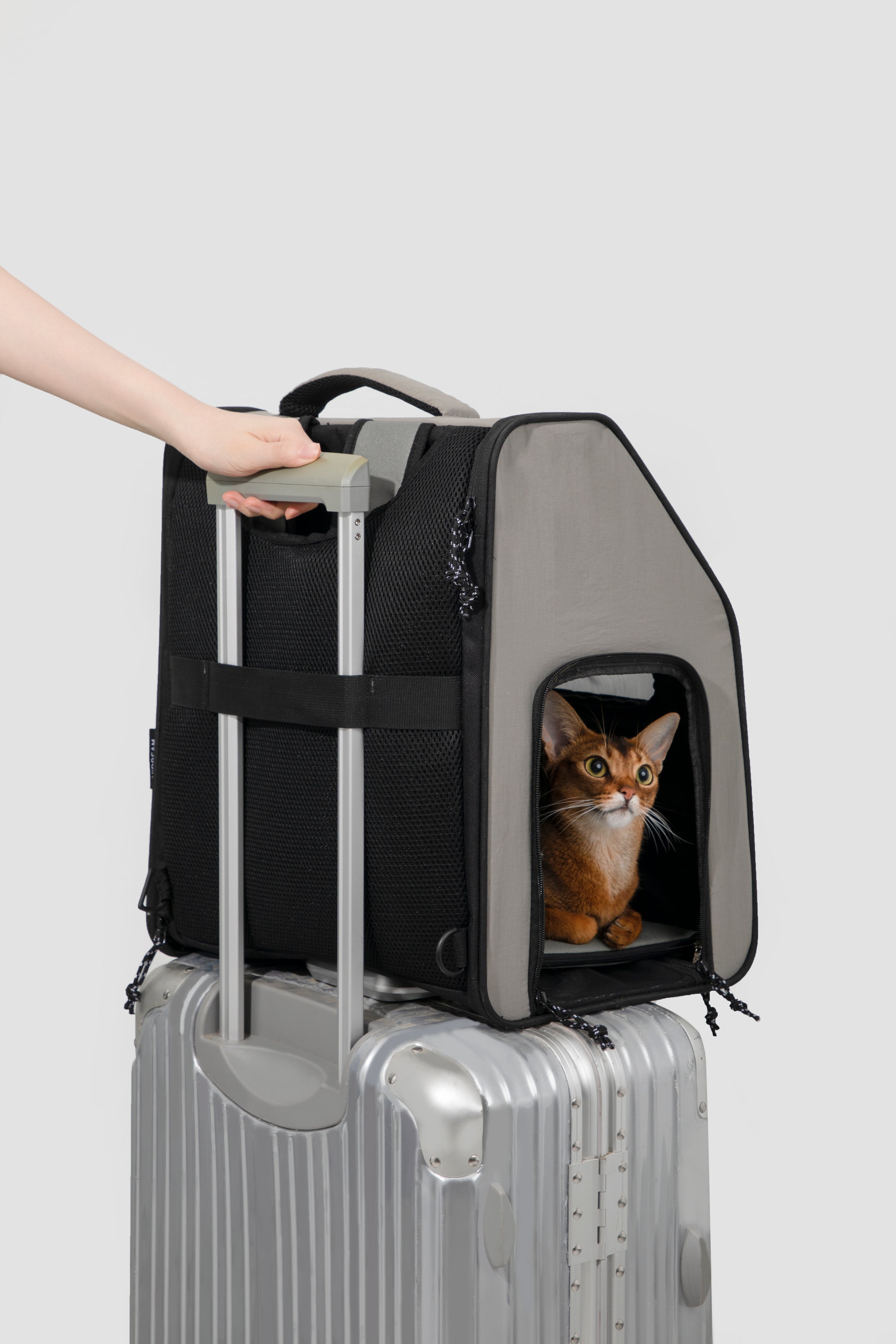 CastleFold Ultra-Light Carrier Backpack
