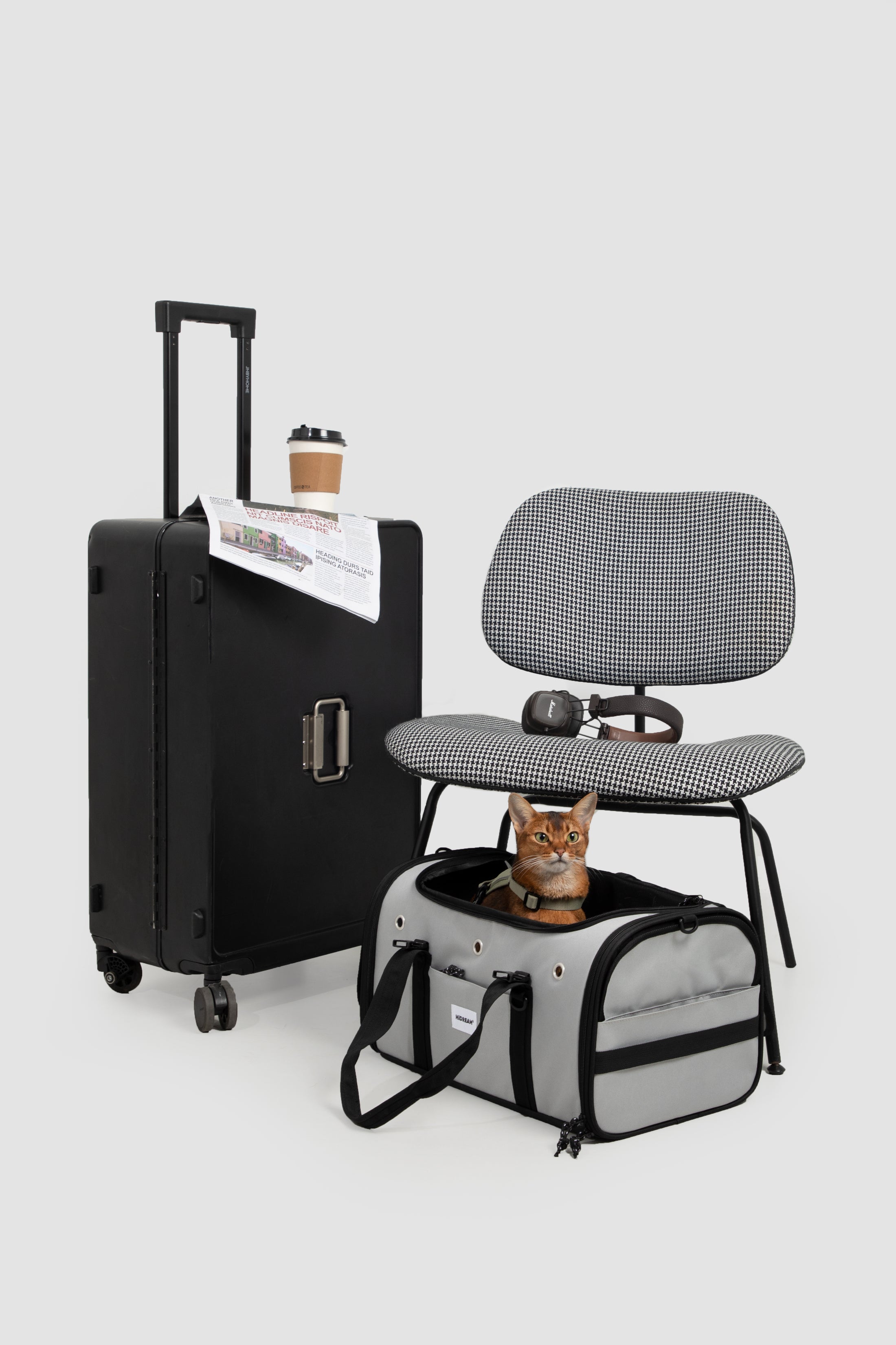 AirPaw Cabin Carrier
