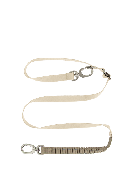 PawBounce Leash