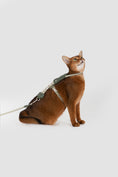 Load image into Gallery viewer, Leather Round Rope Cat Harness Set
