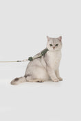 Load image into Gallery viewer, Leather Round Rope Cat Harness Set
