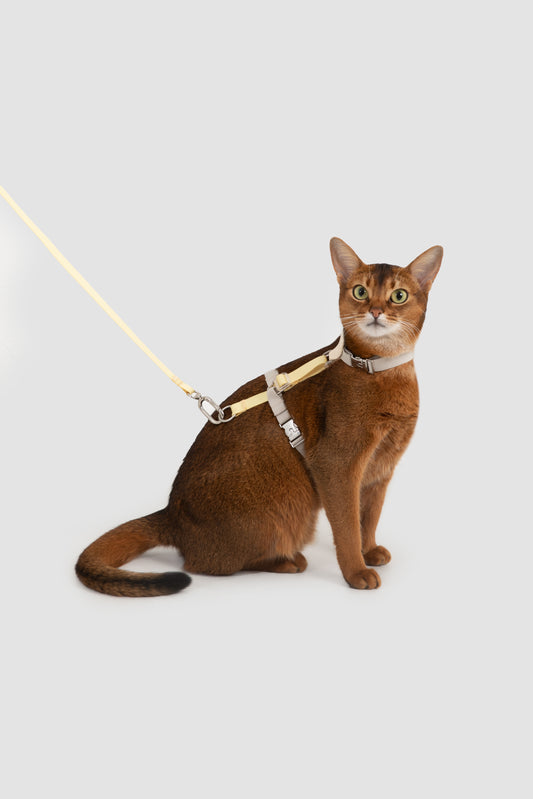MeowWalk Harness Set