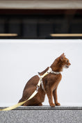 Load image into Gallery viewer, MeowWalk Harness Set
