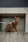 Load image into Gallery viewer, MeowWalk Harness Set
