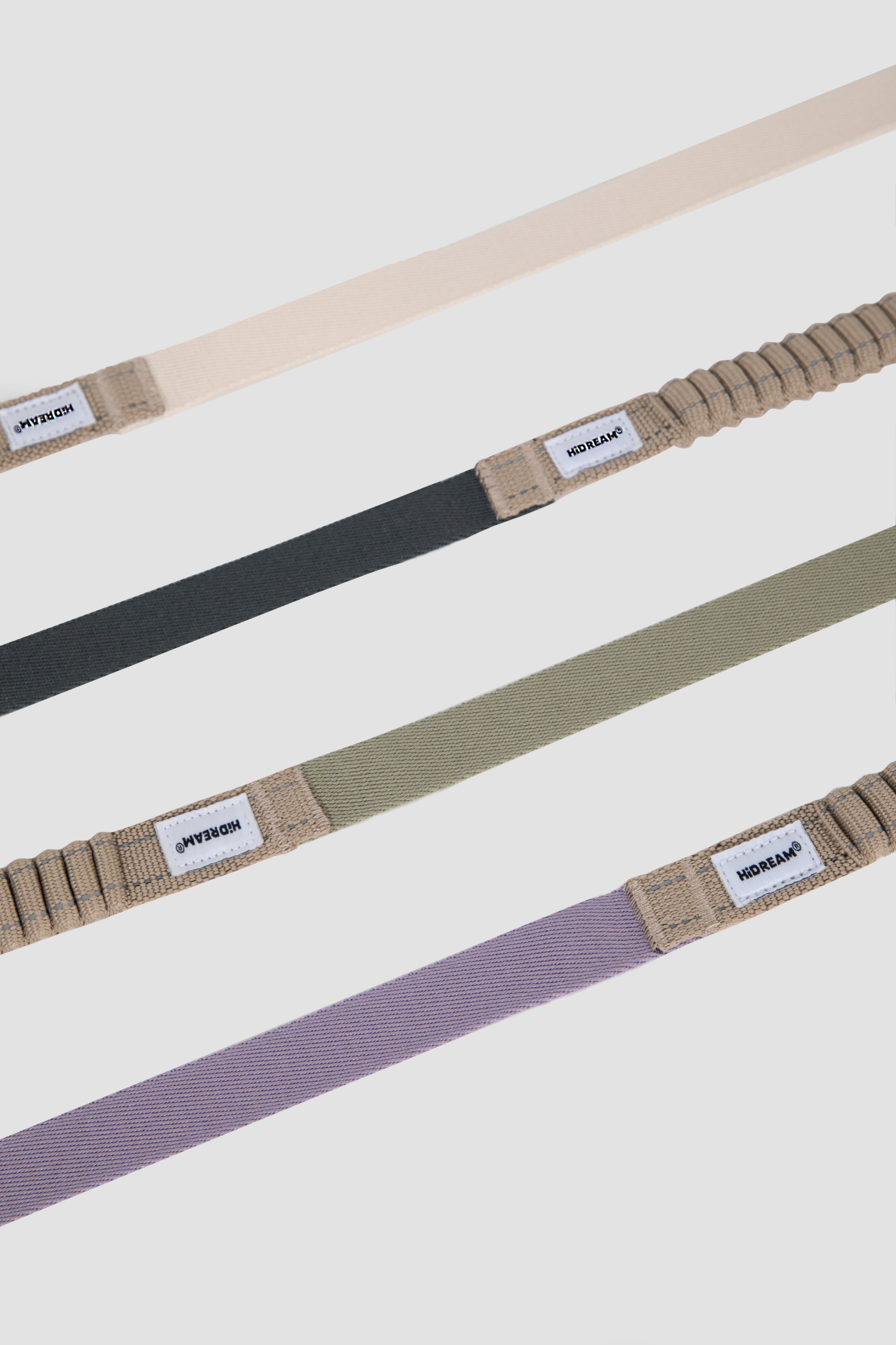 PawBounce Leash