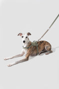 Load image into Gallery viewer, PawBounce Leash
