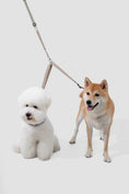 Load image into Gallery viewer, PawBounce Leash
