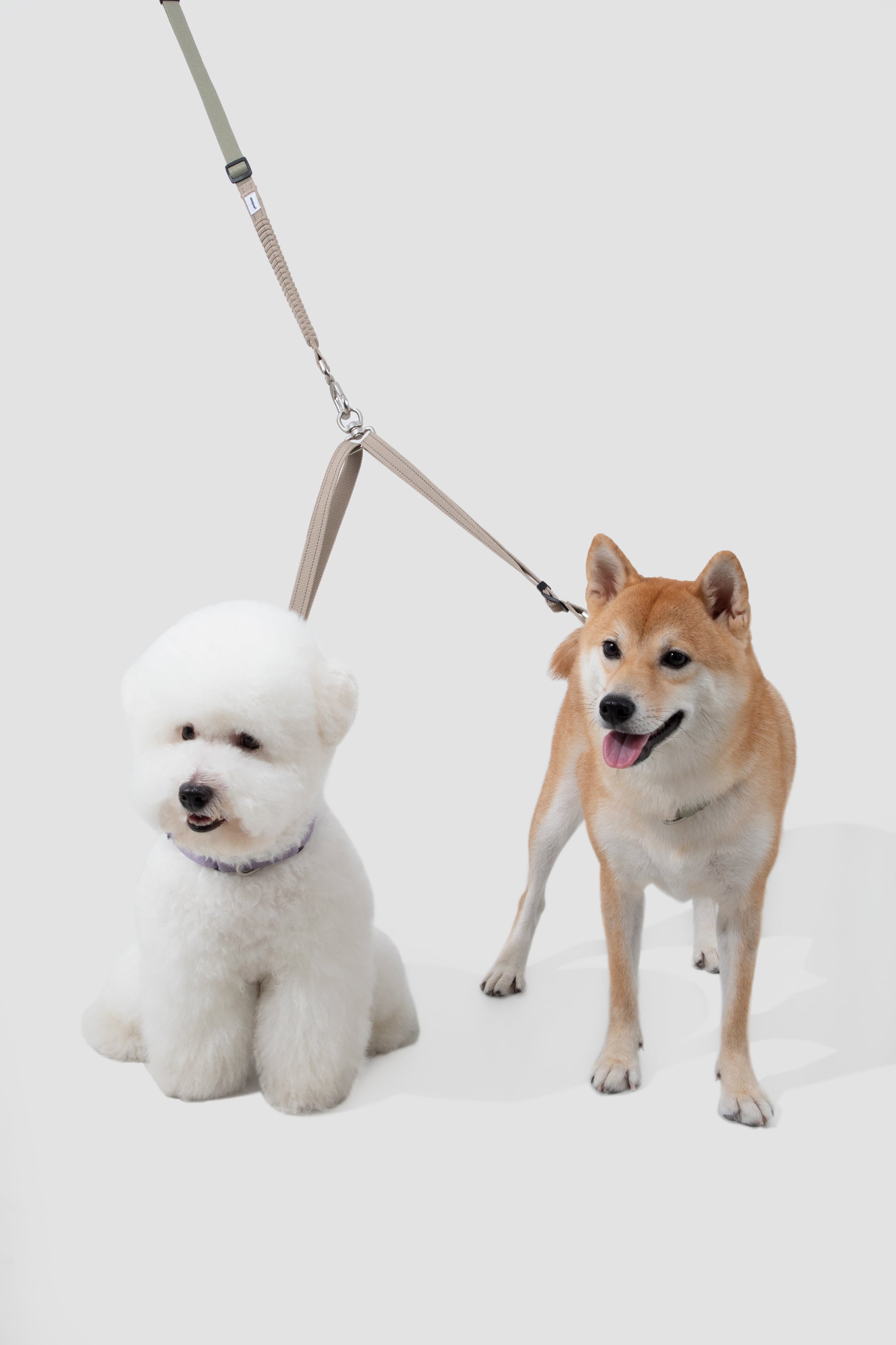 PawBounce Leash