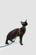 Load image into Gallery viewer, Xplore Cat Harness & Leash Set
