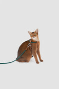 Load image into Gallery viewer, Xplore Cat Harness & Leash Set
