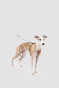 Load image into Gallery viewer, Leather Round Rope Dog Harness Set
