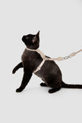 Load image into Gallery viewer, Leather Round Rope Cat Harness Set
