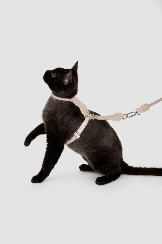 Leather Round Rope Cat Harness Set