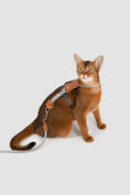 Load image into Gallery viewer, Leather Round Rope Cat Harness Set
