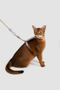 Load image into Gallery viewer, Leather Round Rope Cat Harness Set
