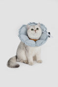 Load image into Gallery viewer, FloraCone - Elizabethan collar
