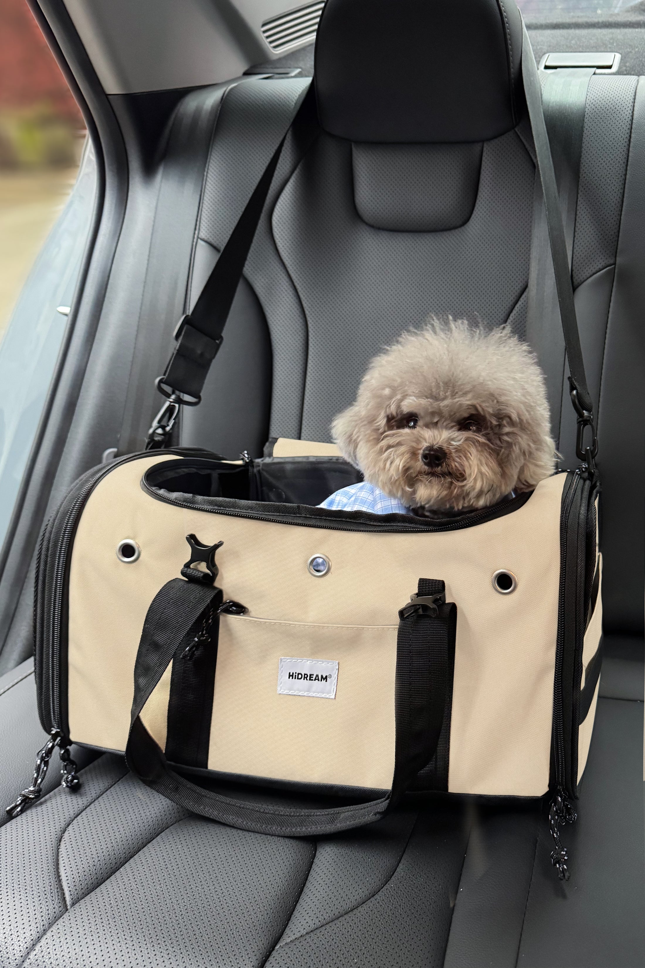 AirPaw Cabin Carrier