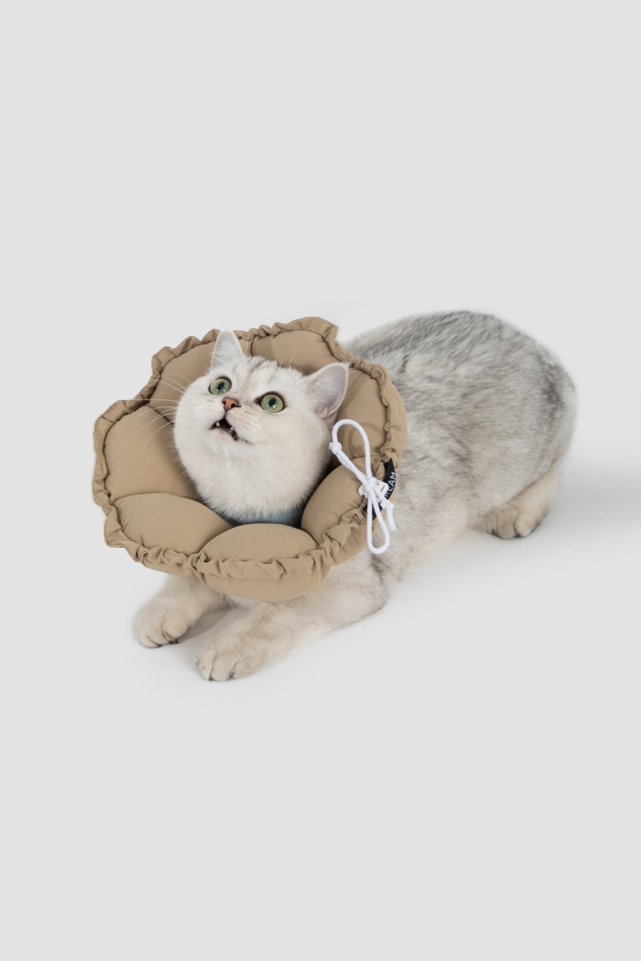 FloraCone - Elizabethan collar